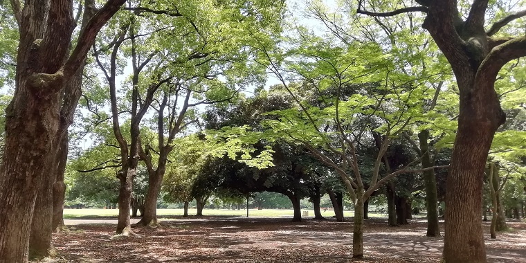 代々木公園ランニングコース