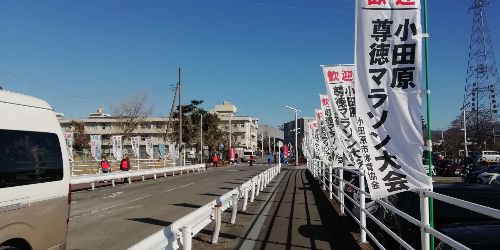 小田原尊徳マラソン　風景2